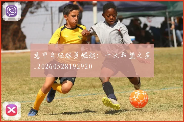 意甲年轻球员崛起：十大希望之星_20260528192920